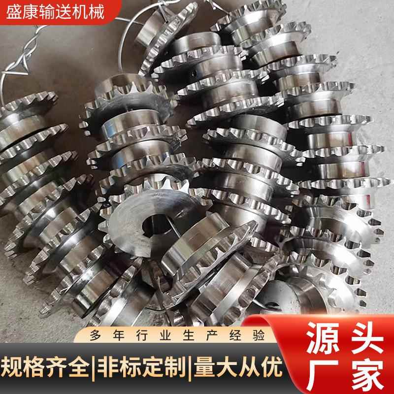 齿610工业用输送链轮机械传动配件多规格厂单双排轮锈钢链条链不