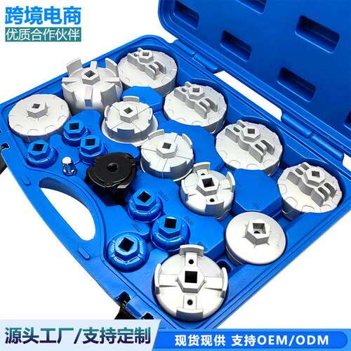机油滤清器扳手套装 19 件 Oil filter wrench TOOL
