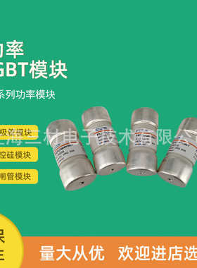 全新熔断器保险丝FR10GR69V1.5/P1014566  FR10GR69V2/Q1014567