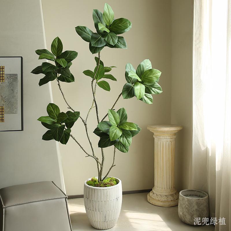 仿真假绿植富贵榕FGR001树客大型植物室内厅景观落地盆栽装摆饰件