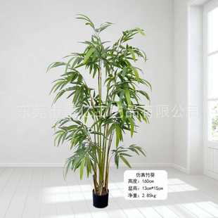葵葵绿竹客厅办公室常绿装饰葵竹植装饰盆栽人造假凤尾仿真仿真