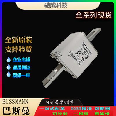 巴斯曼170M5649 170M5650 170M5658 厂家直供零售 快速熔断器