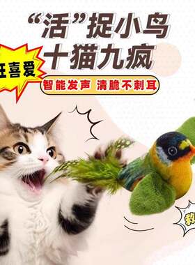 猫咪玩具自嗨解闷神器仿真会叫小鸟荡秋千挂门悬挂弹力羽毛逗猫棒