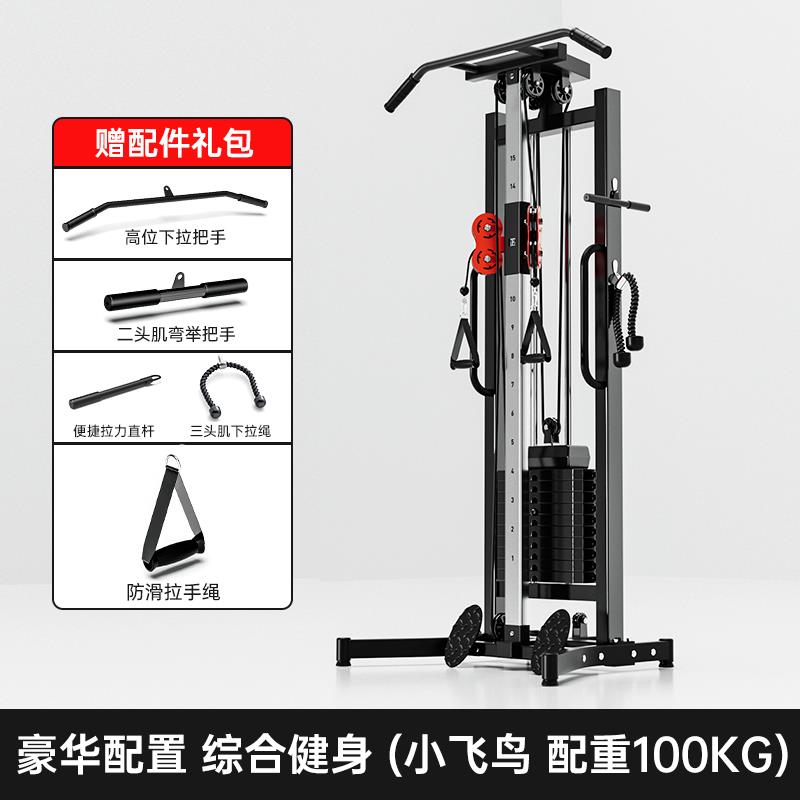 正品大飞鸟龙门家用多功能健身器单架侧夹胸小量综合训练材器械引