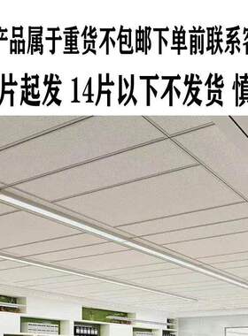 300×1200矿棉板装饰吸音材料暗架明架条形天花板办公室吊顶材