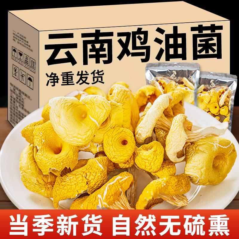 鸡油菌干货云南土特产菌菇包山珍蘑菇旗舰店煲汤材料黄丝菌500g