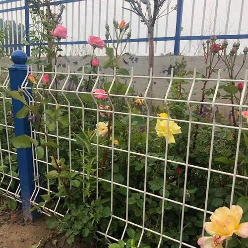 型护栏网栏 公园用桃型VRN柱柱围 机场防桃护网 三角折弯护栏网