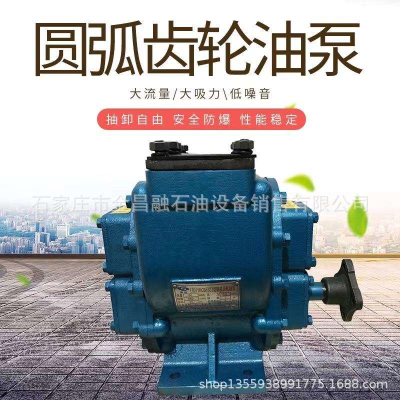 圆弧齿轮油泵油罐车加油车齿轮泵高粘度抽油泵柴油汽油防爆泵
