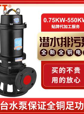 2.2KW潜水排污泵四寸立式大流量污水泵220V三相WQ潜水排污泵厂家