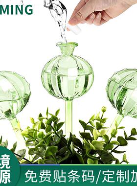 仙人球玻璃懒人浇花器绿植自动浇花器家用滴灌渗水盆栽跨境货源