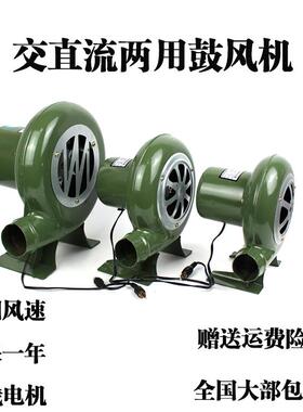 交直流电动调速鼓风机烧烤小型 220V12v鼓风机家用100W30W60W