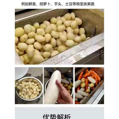 全自动商用小型土豆脱皮机马铃薯胡萝卜芋头猪蹄毛刷清洗机