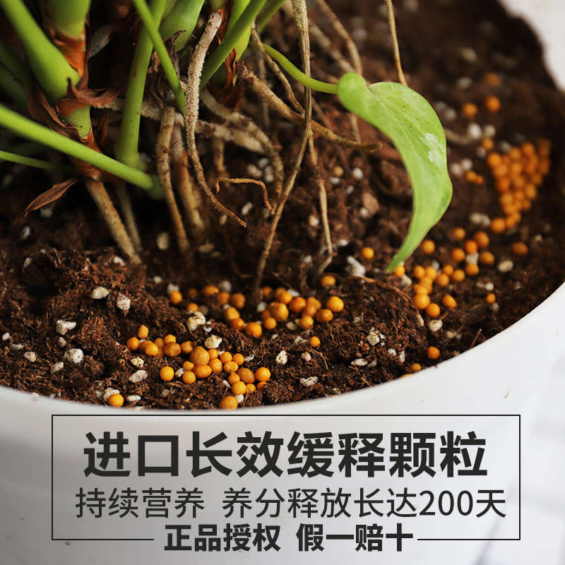 奥绿肥1号通用缓释肥控释肥月季318S花多多2号绣球月季水溶肥料