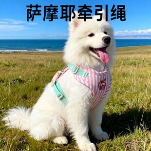 萨摩耶牵引绳专用中大型犬外出背带式幼犬遛狗胸背耐咬宠物用品AI