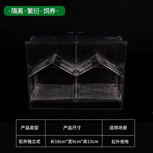 孔雀繁殖斗鱼鱼缸鱼缸隔离孵化器