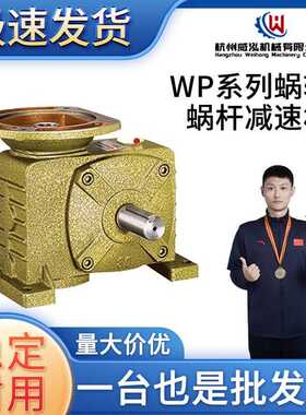 WPDZ 蜗轮蜗杆减速机 减速器减速箱齿轮箱