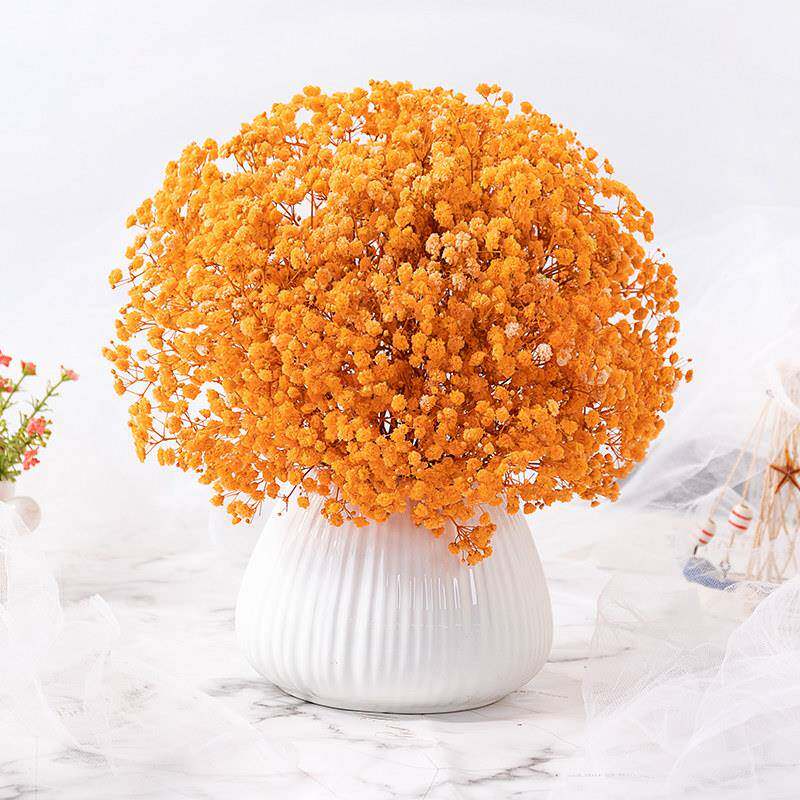 满天星真花干花花束家居客厅装饰摆件云南鲜花自然风干小清新花束