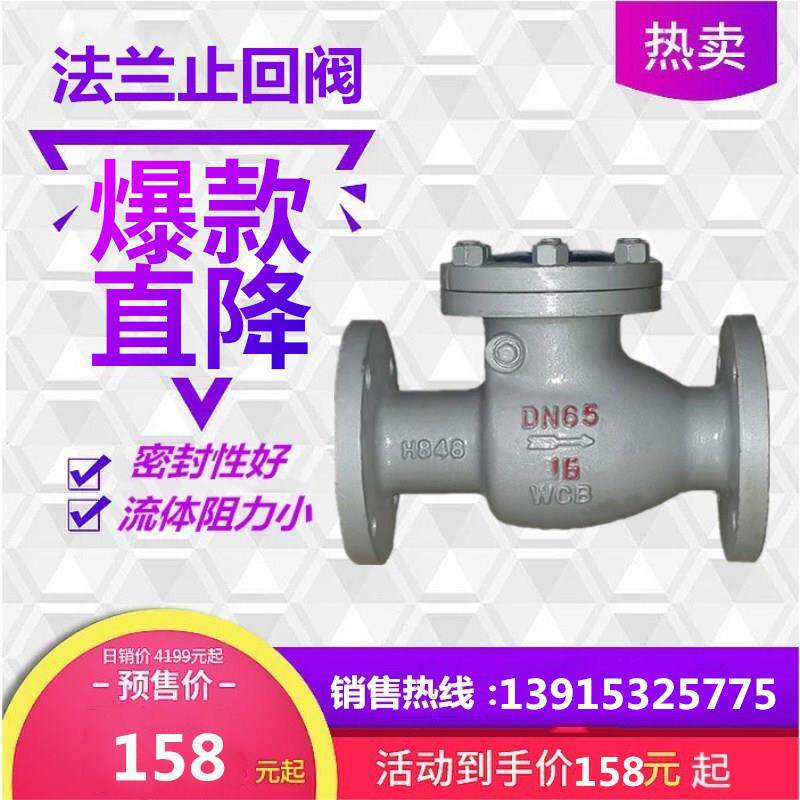 法兰止回阀旋启式下水管道水泵底阀单向阀DN506580100