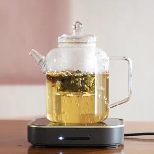 耐高温玻璃煮茶壶 电陶炉围炉煮茶泡茶壶 卡式 炉明火玻璃新款