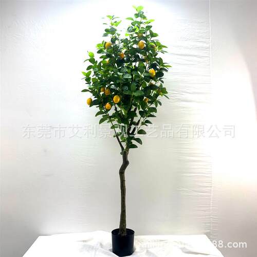 柠檬树家居造小物清新植园AL-009假果树盆栽林景观人绿植盆景