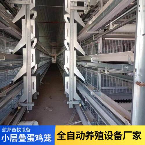 立式鸡笼小层叠蛋鸡笼全自动蛋鸡笼背负式喂料集蛋热镀锌蛋鸡笼