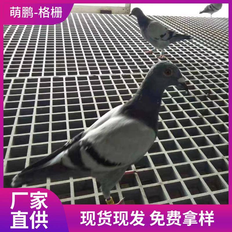 鸽舍地王 漏水格栅板 玻璃钢树篦子玻璃钢格栅 洗车房地格栅