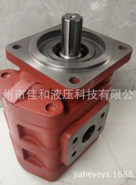 供应临工953装载机齿轮油泵CBGJ2A100左矩4120001803