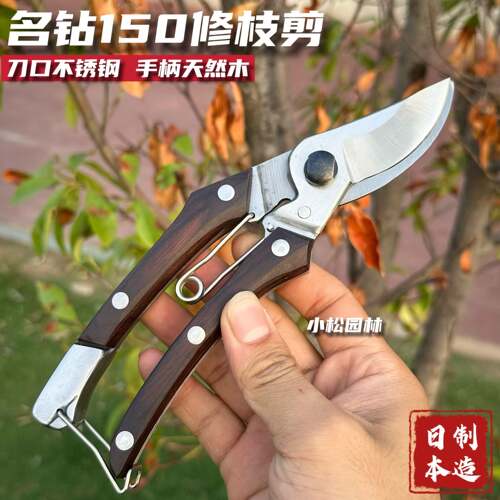 高档名钻牌修枝剪150树枝剪园艺剪刀园林工具整枝剪剪刀