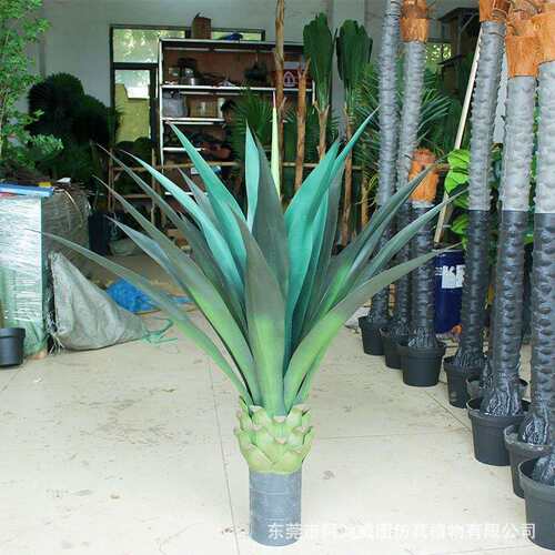 仿真剑麻植物龙舌兰盆栽客厅摆件橱窗装饰真绿植造景龙血树真