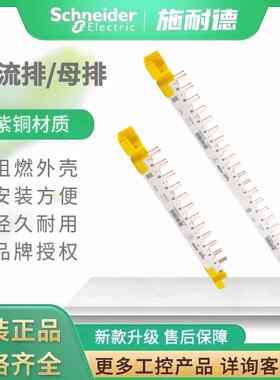 施耐德汇流排1P+N 1P+N带漏电通用 12 24回路A9HLD612 A9HLD624