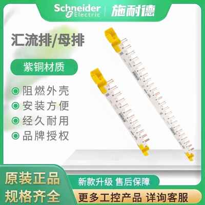 施耐德汇流排1P+N 1P+N带漏电通用 12 24回路A9HLD612 A9HLD624