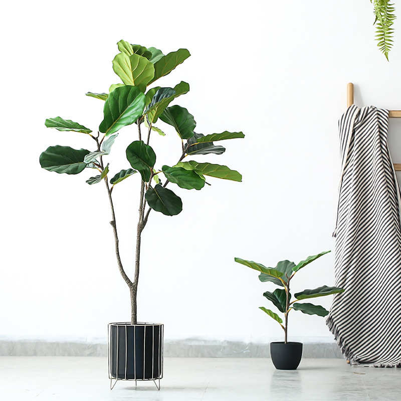 北欧植物盆栽琴叶榕大型绿植落地免浇水盆景室内创意摆件盆栽