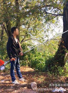 高剪枝高枝树剪汽锯油四冲程高枝HS-GZ锯截树木高枝锯