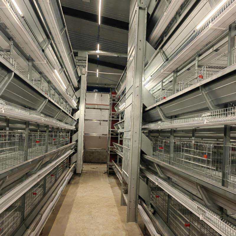 全自动鹌鹑笼喂料集蛋立式大层叠鸡笼子现代化清粪养殖场鸡笼设备