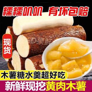 aw广西黄心黄肉木薯糖水店同款蛋黄新鲜面包白肉木薯粉糯板栗包邮