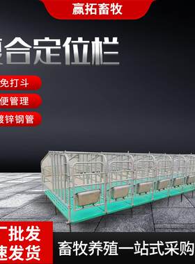 定位栏养猪场用小猪限位栏加厚镀锌管5头10头位母猪定位栏