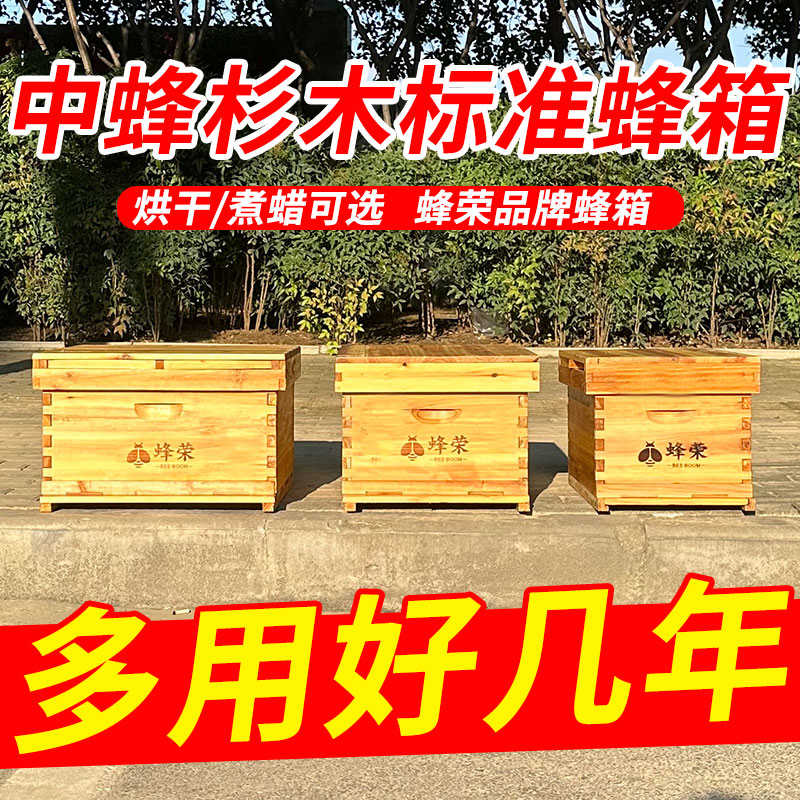 蜂箱带用具杉木框蜜蜂蜂箱底全巢础活拉荣底板全套抽养蜂标准十框