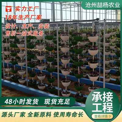 无土栽培设施 水果蔬菜大棚 立体栽培系统 无土栽培多层水培种植