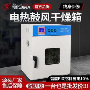 电热恒温鼓风干 干燥箱高温加热小型工业烤箱医用烘干 干机实验室