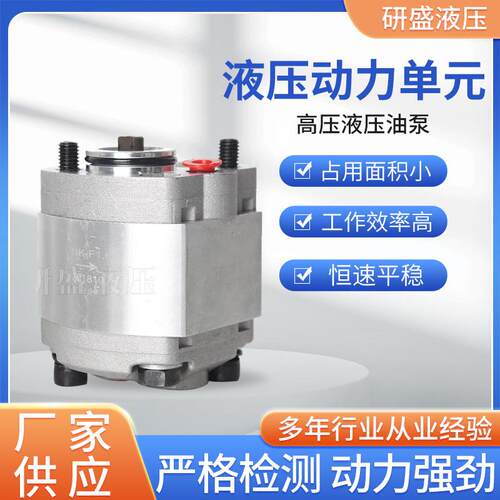 高压齿轮泵高压液压油泵动力单元齿轮泵AP1001.2液压泵双向齿轮泵