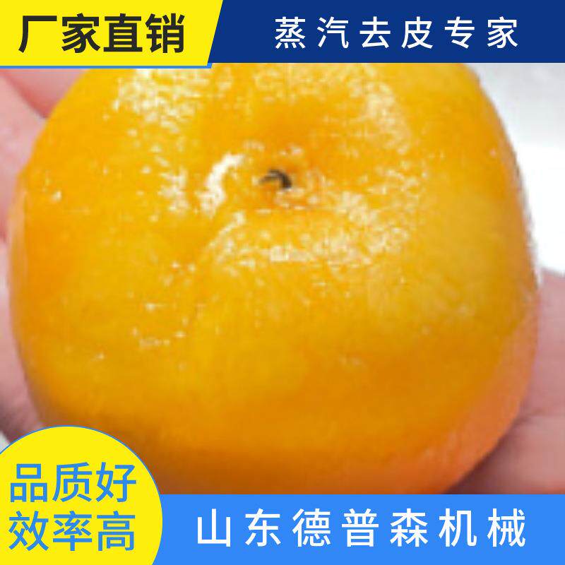 大型果蔬脱皮机全自动高温柿子猕猴桃胡萝卜蒸汽去皮机