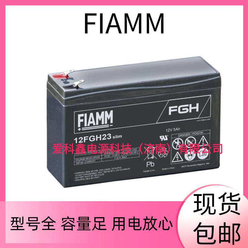 FIAMM蓄电池 12FGH23 12V5 AH 船舶应急免维护铅酸电池