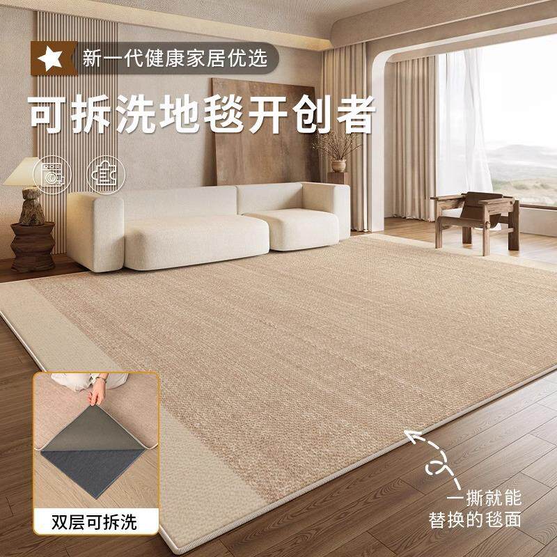 可机洗地毯新款客厅双层可拆洗水洗纯色沙发卧室雪尼尔家用地垫