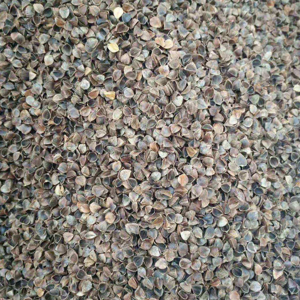 荞麦壳苦荞壳大量现货干洗高温颗粒饱满枕头填充物