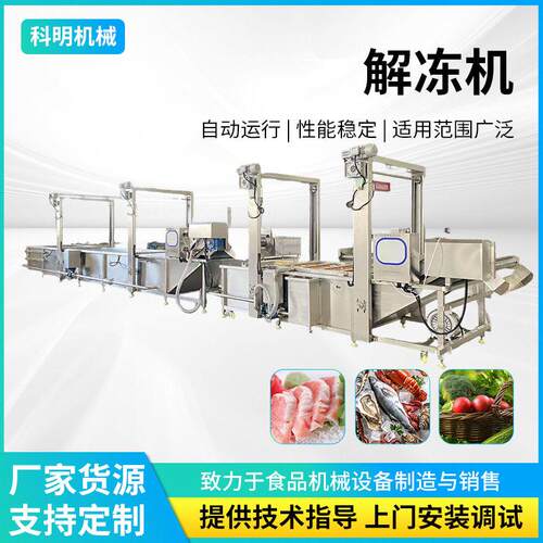 提升式商用冻肉块解冻机鸡腿鸡翅鸡胸肉清洗解冻机鸭产品解冻设备