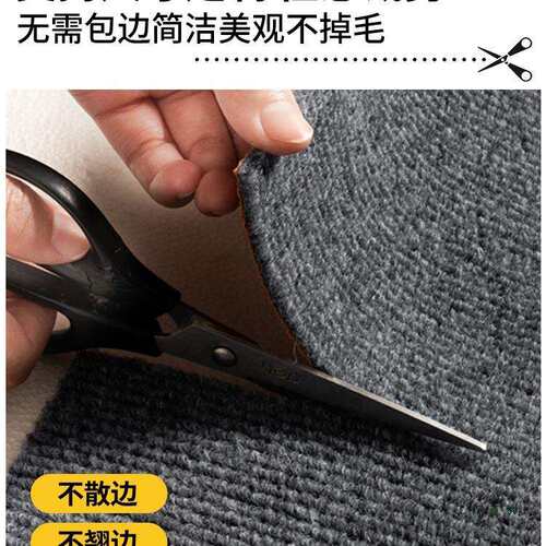 地毯可裁剪加厚防滑入户门地垫进门门口轻奢高级门垫卧室耐脏家用