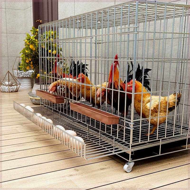 鸡笼子家用养鸡笼大号特大号自动清粪折叠养殖笼鸡舍铁丝网鸭鹅笼