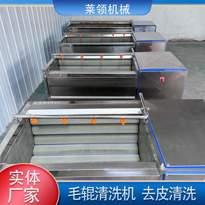 自动莴苣去皮机东北松茸去泥毛辊清洗机河蚌去泥去杂毛辊清洗设备