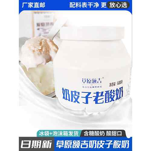 新疆包邮奶皮子老酸奶600g草原额吉原味酸奶风味酸牛奶内蒙古经典