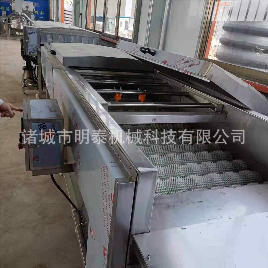 沙桔平行毛辊清洗机果葡萄糖柚冰糖橙全自 动洗机 大姜清洗101设
